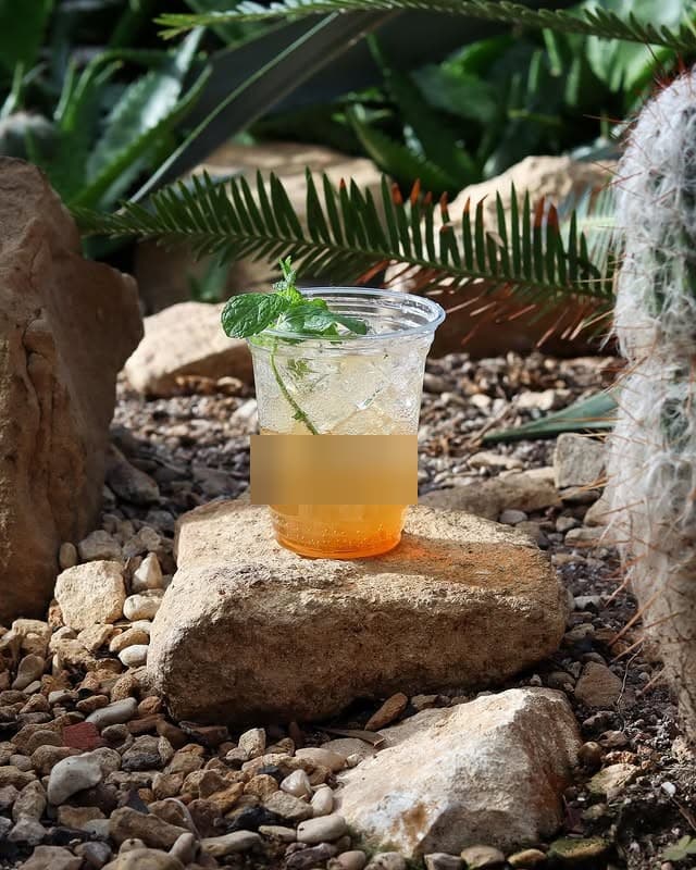 Iced tea in a clear Hollow Oak cup beside a cactus garden.